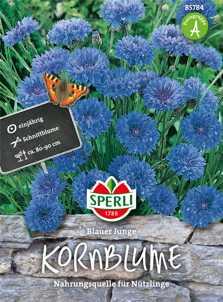 Kornblume 'Blauer Junge'