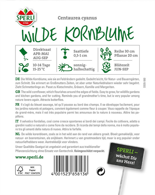 Kornblume