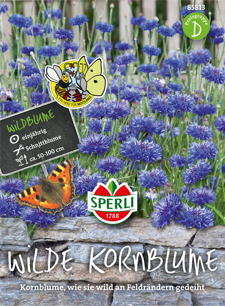 Kornblume