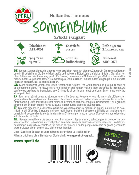 Sonnenblume 'Gigant'