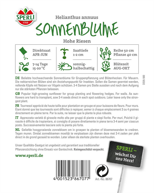 Sonnenblume 'Hohe Riesen'