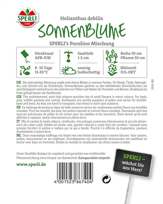 Sonnenblume 'Pocolino'