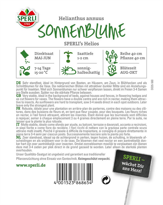 Sonnenblume 'Helios'