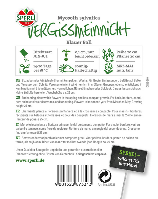 Wald-Vergissmeinnicht 'Blue Ball'