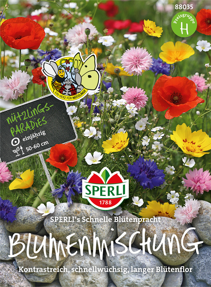 Blumenmischung 'Schnelle Blütenpracht'