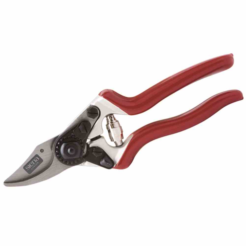 Siena Garden Premium Bypass Gartenschere 6-KS, 20,5 cm