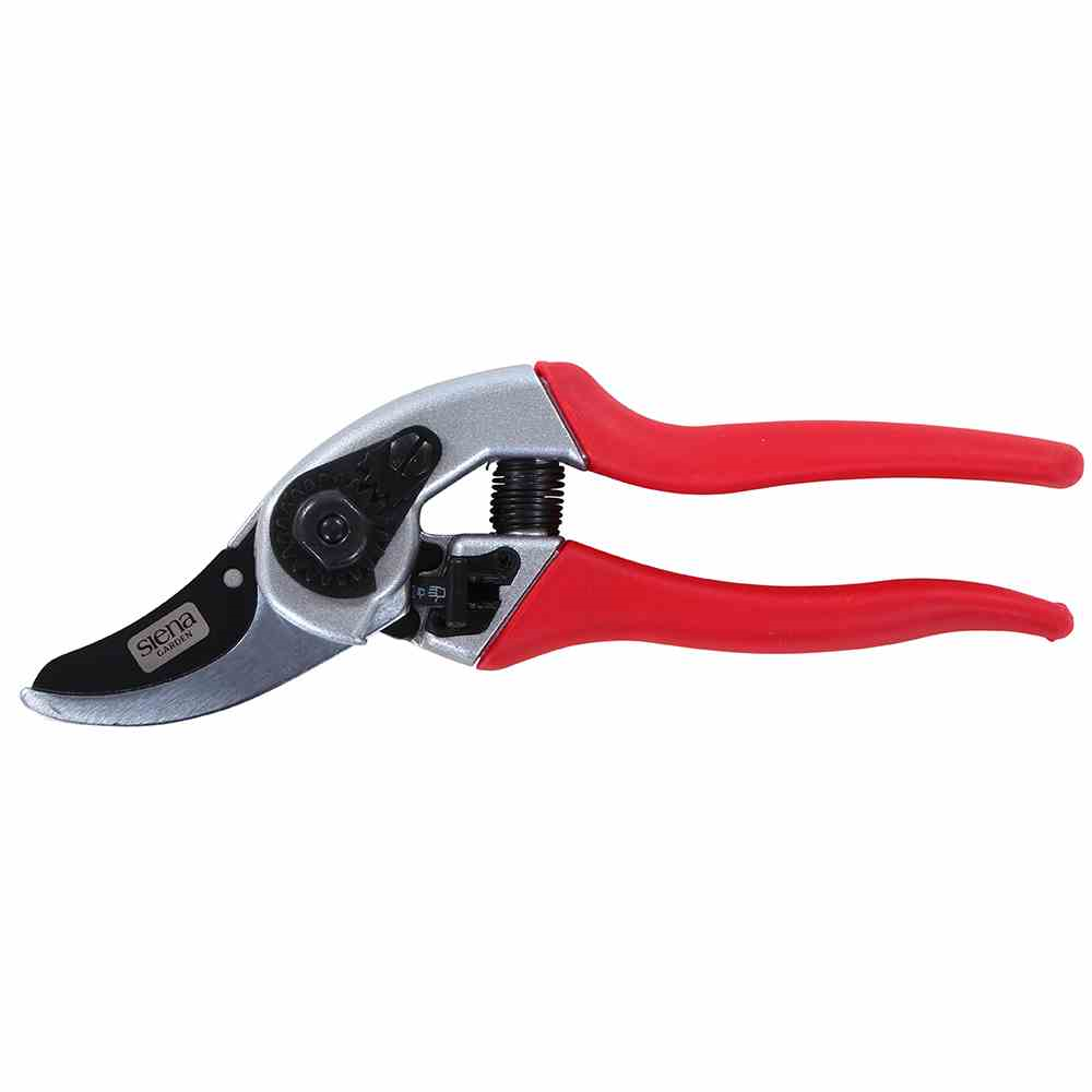 Siena Garden Premium Gartenschere CG1040