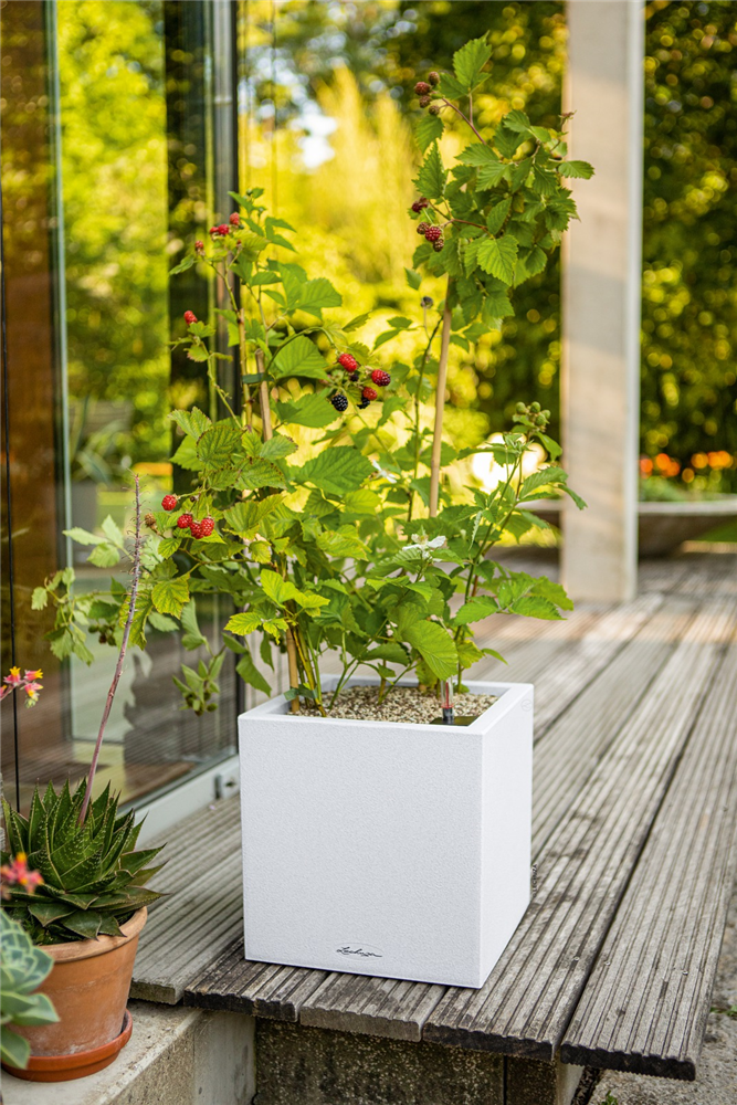 LECHUZA CANTO Stone 30 low