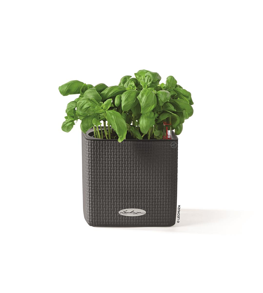 LECHUZA CUBE Color 14