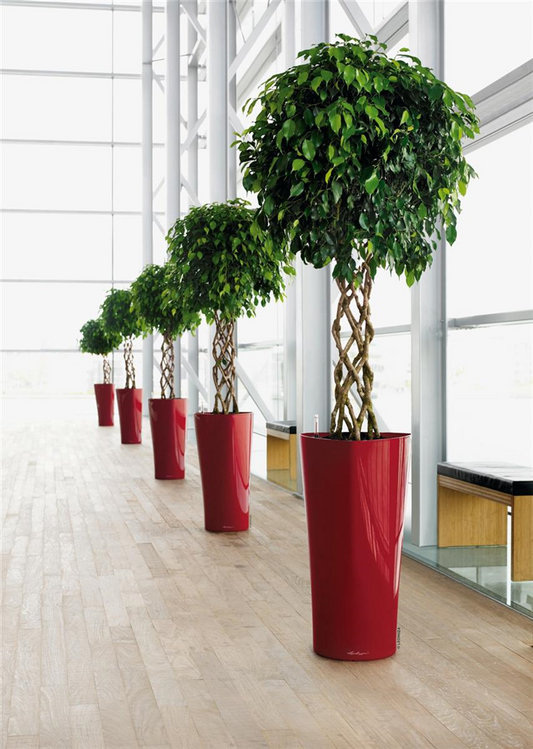 LECHUZA DELTA Premium 30