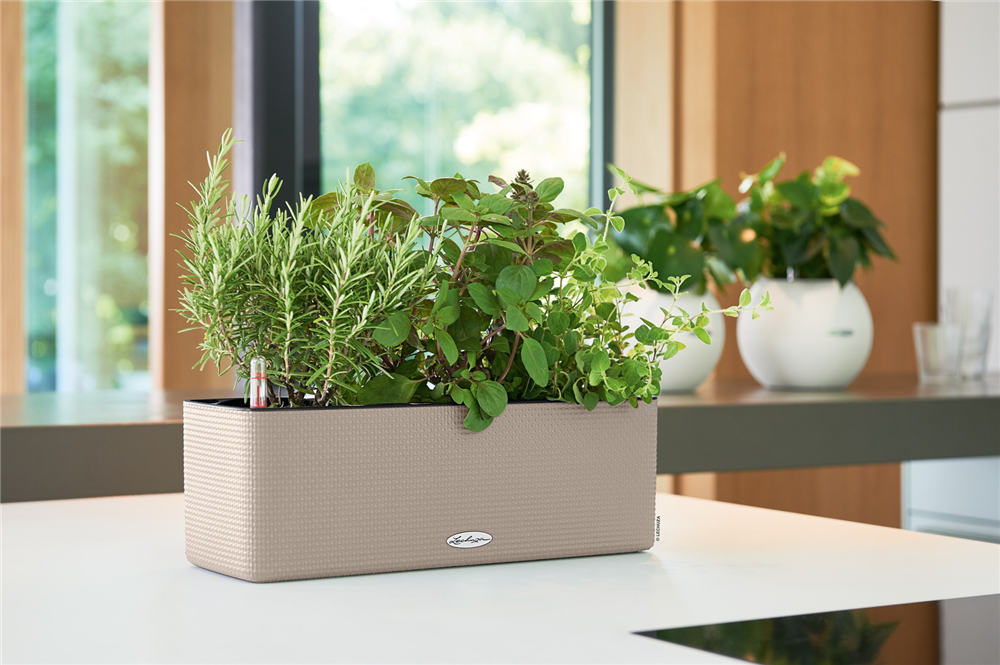 LECHUZA CUBE Color Triple 14