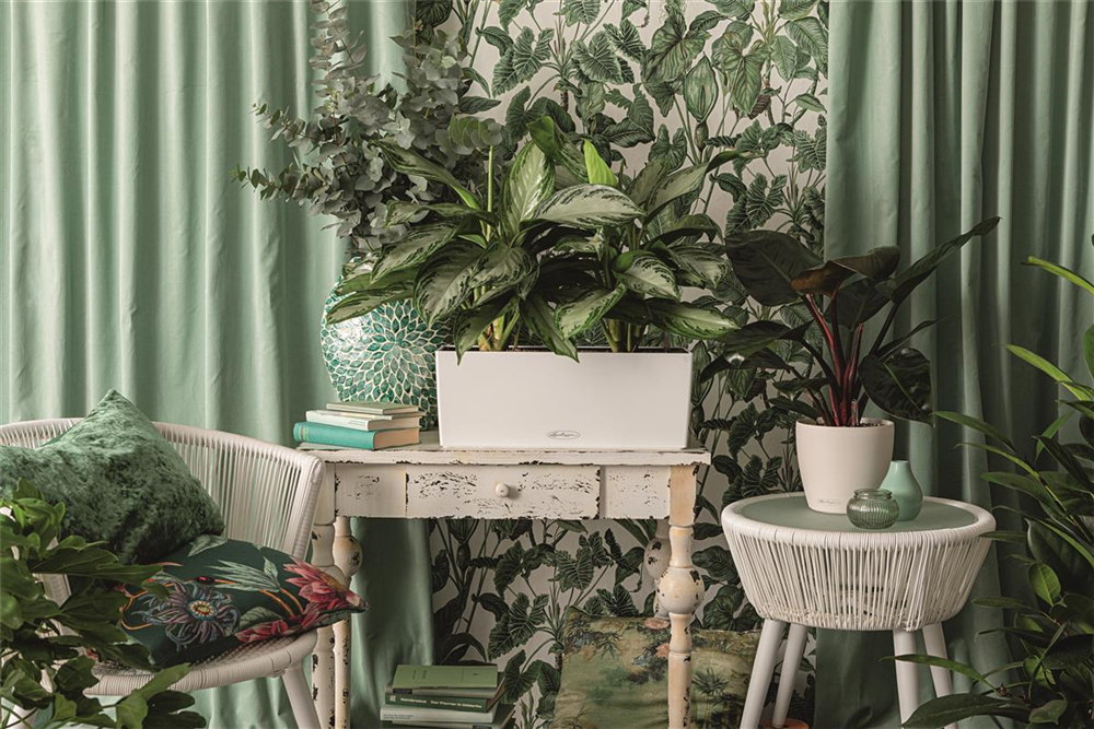 LECHUZA BALCONERA Color 50