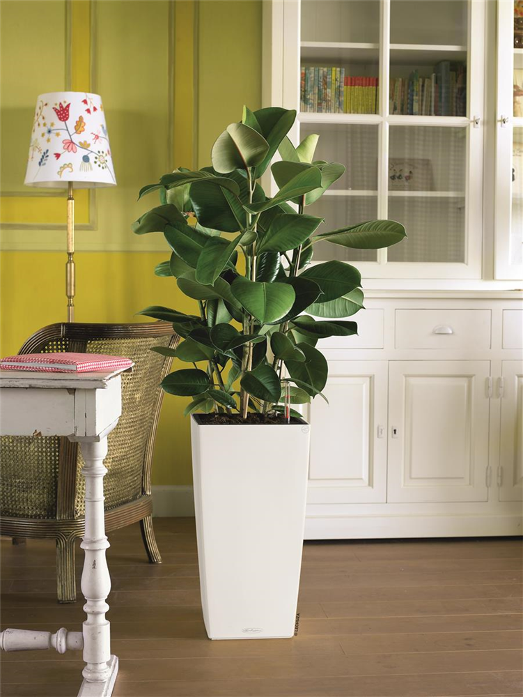 LECHUZA CUBICO Color 30