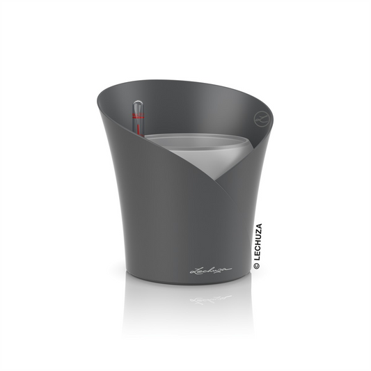 LECHUZA ORCHIDEA Color