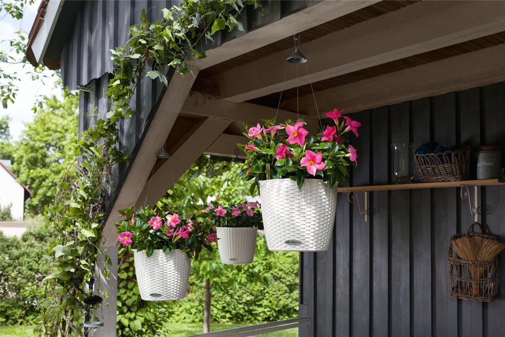 LECHUZA NIDO Cottage