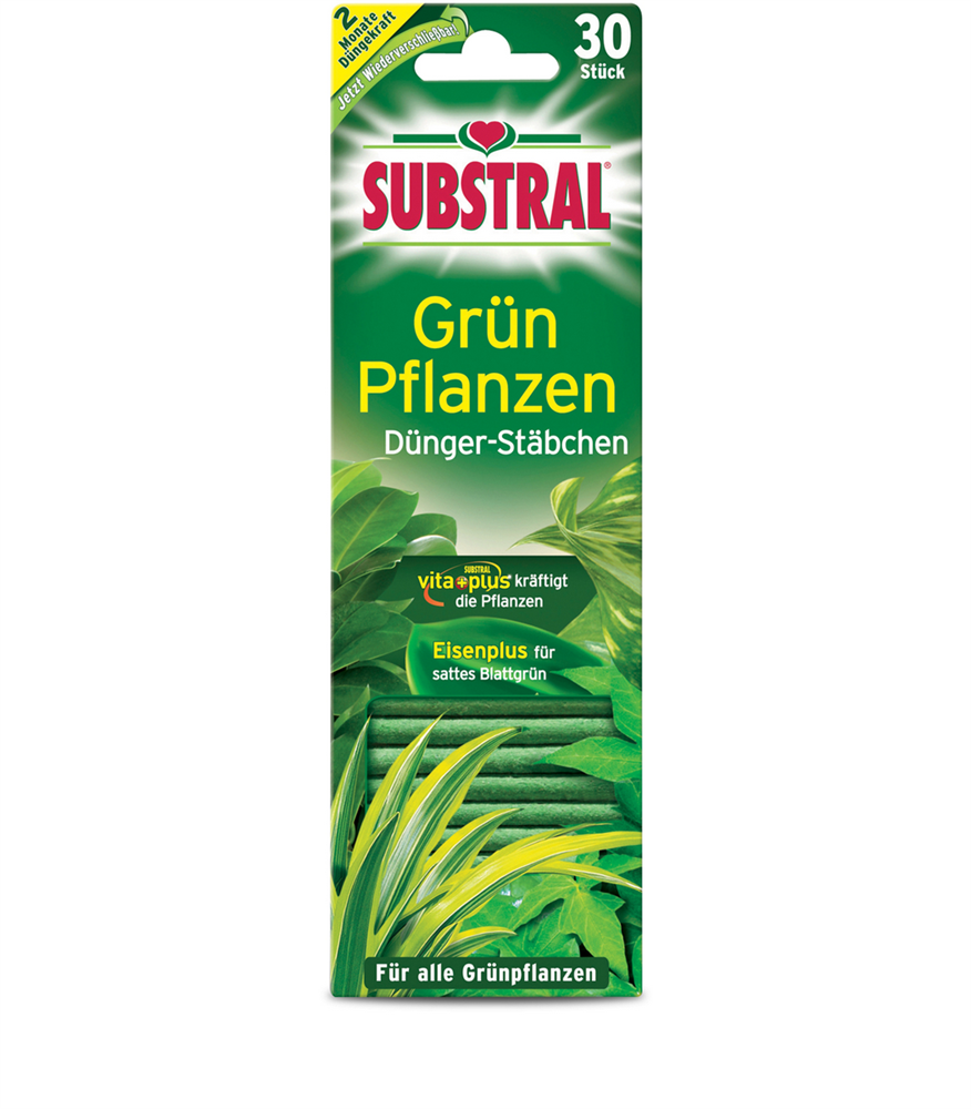 Substral Dünger-Stäbchen für Grünpflanzen