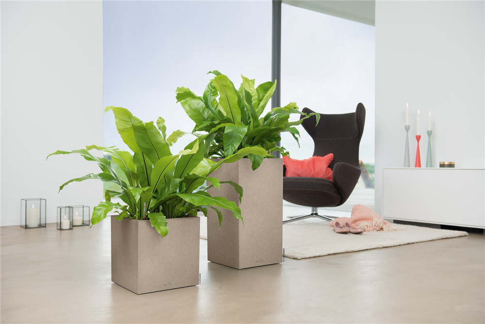 LECHUZA CANTO Stone 30 low