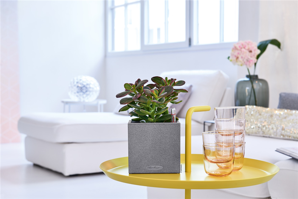 LECHUZA CANTO Stone 14