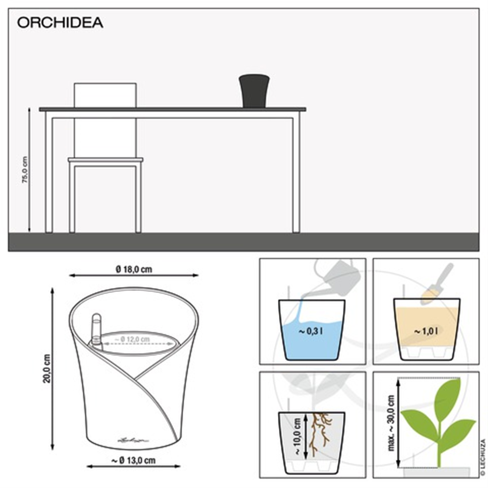 LECHUZA ORCHIDEA Color