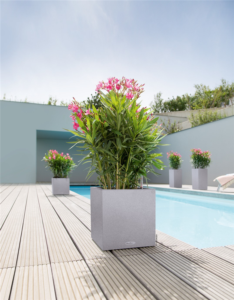 LECHUZA CANTO Stone 30 low