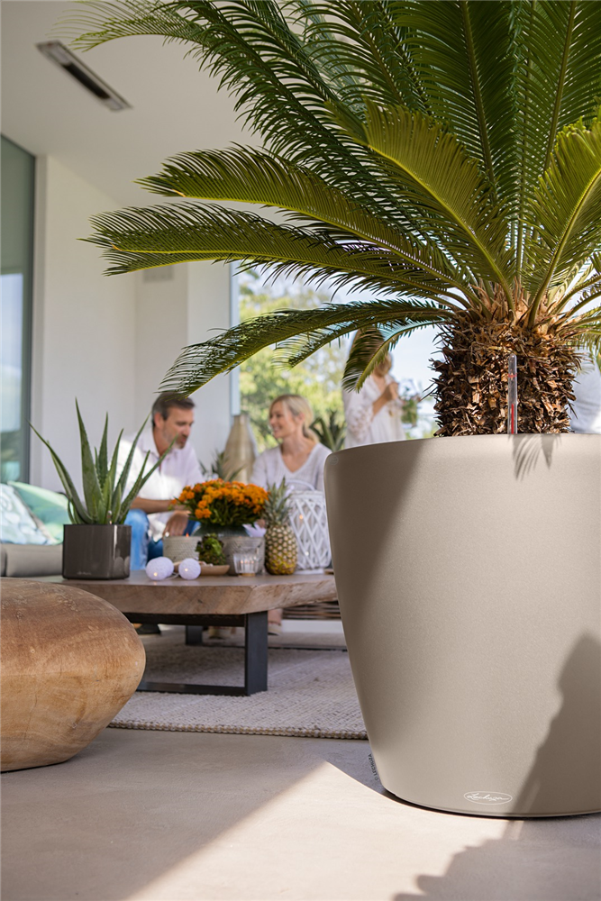 LECHUZA CLASSICO Color 70