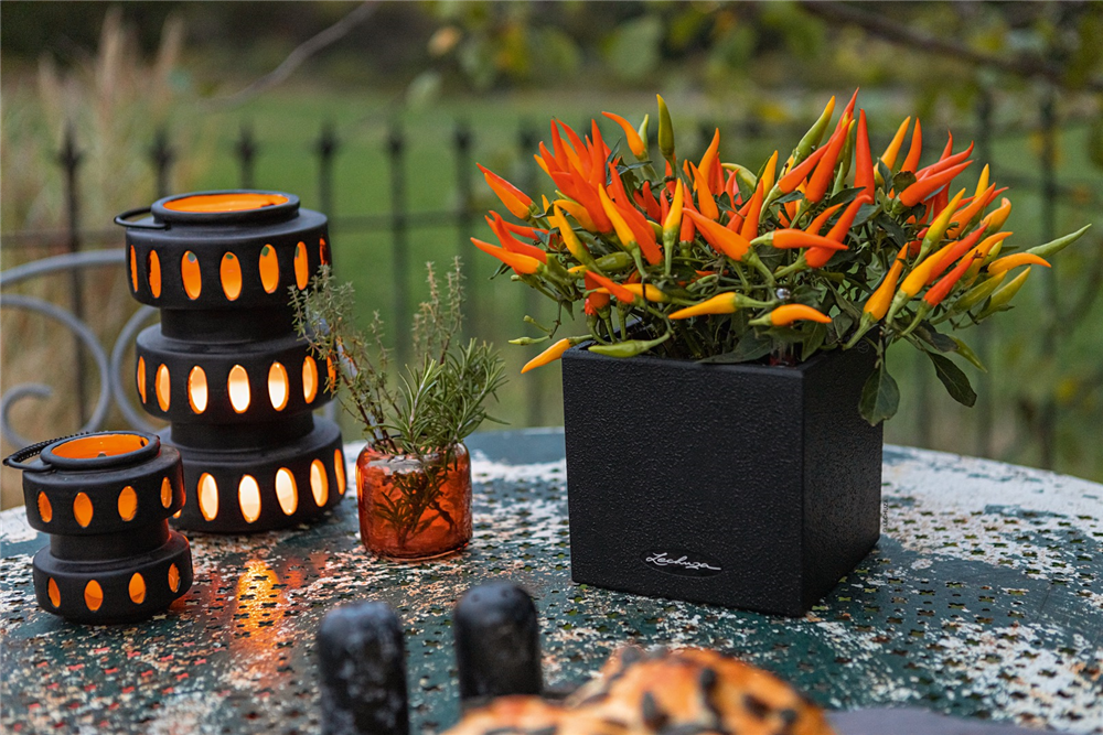 LECHUZA CANTO Stone 14