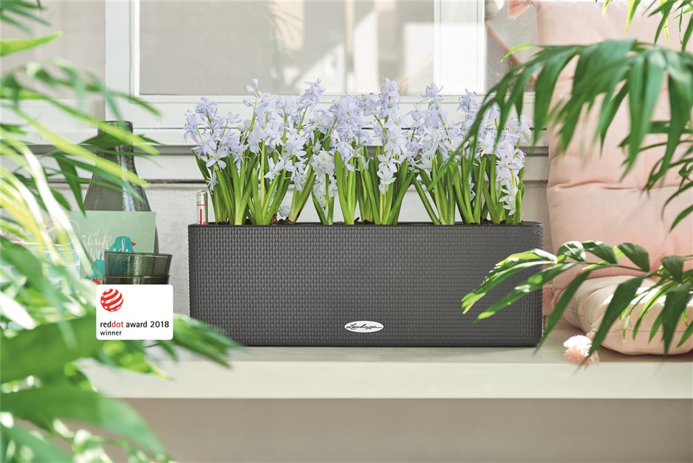 LECHUZA CUBE Color Triple 14