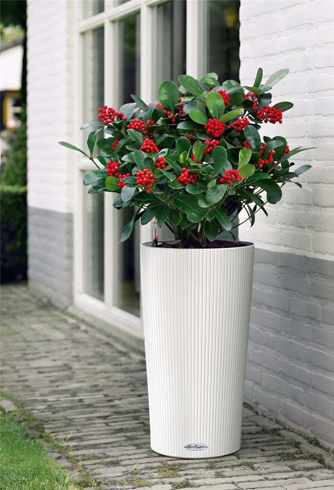 LECHUZA CILINDRO Color 32