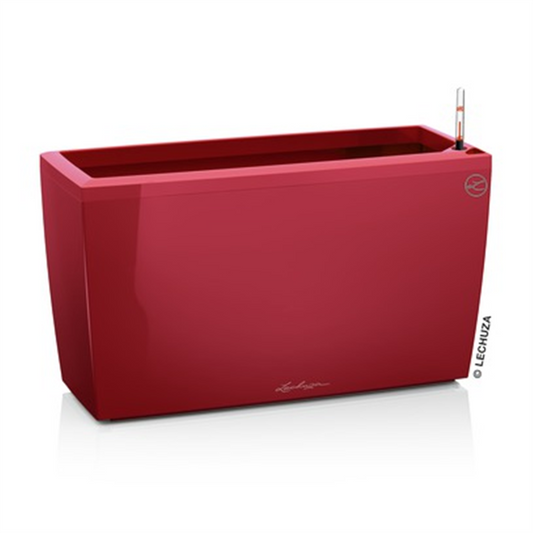 LECHUZA CARARO Premium