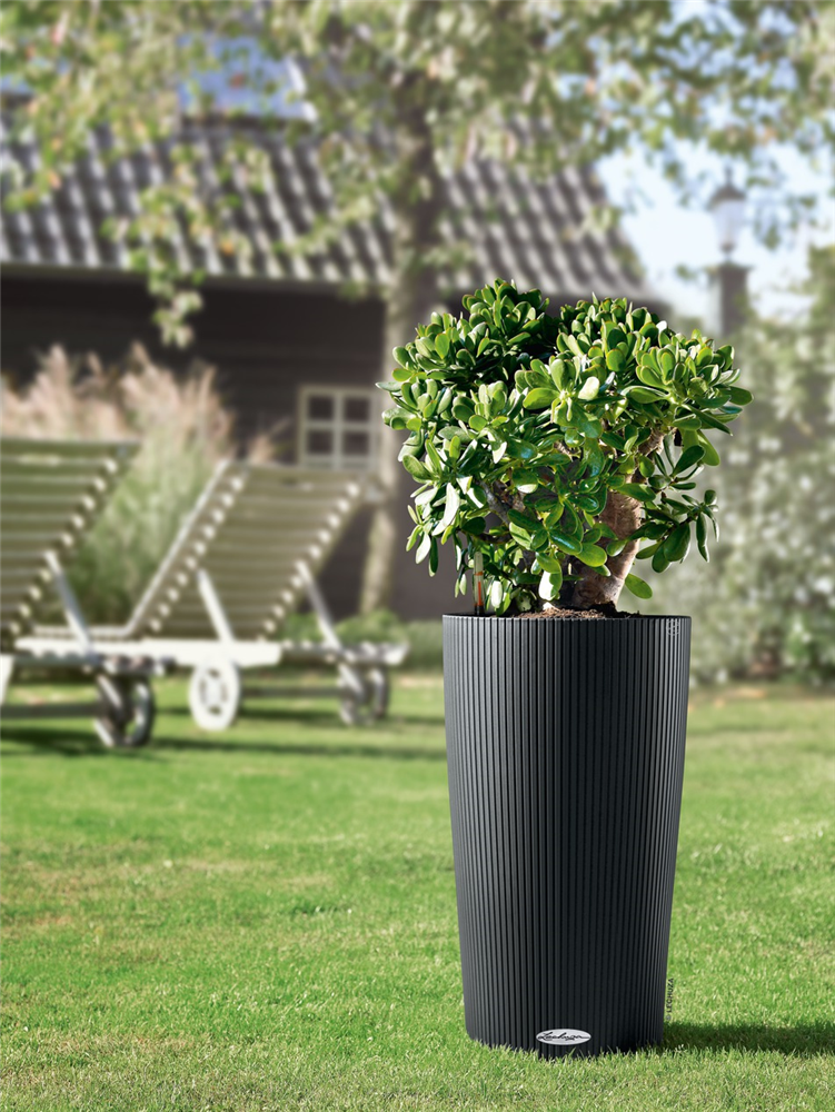 LECHUZA CILINDRO Color 32