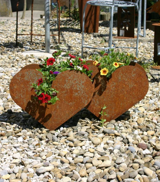 Herz zum Pflanzen doppelt