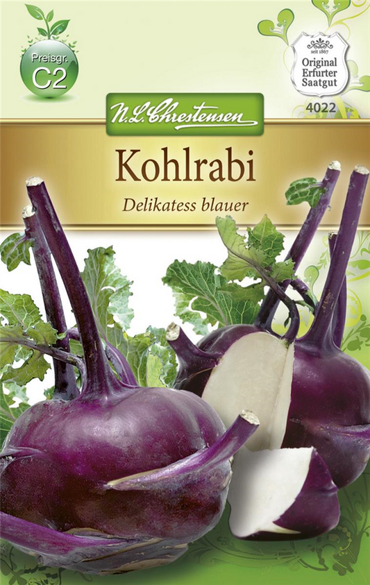 Kohlrabisamen 'Blauer Delikatess'