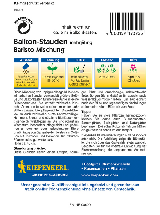 Balkonstauden 'Baristo'