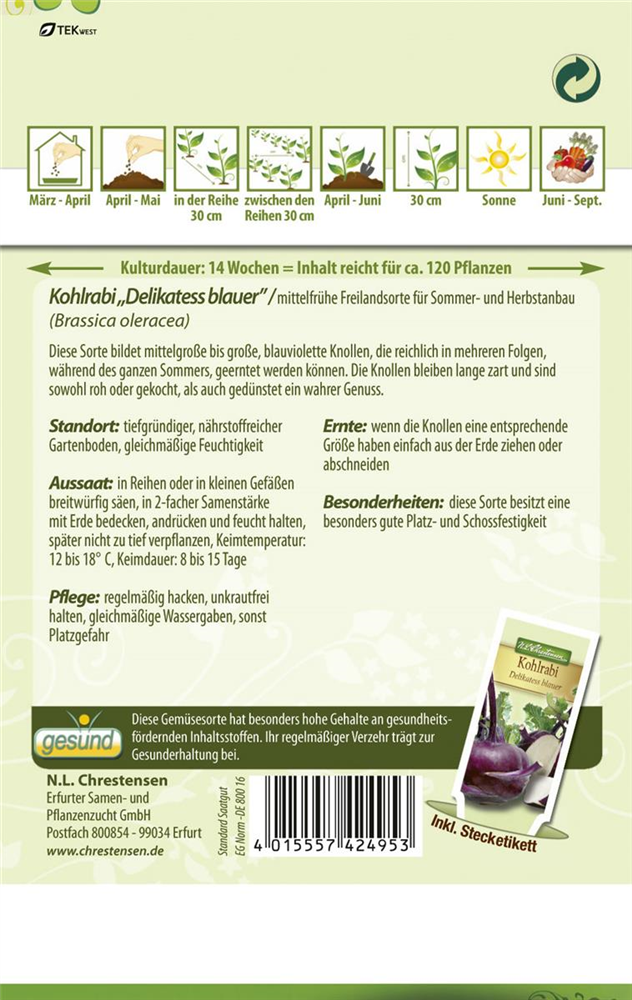 Kohlrabisamen 'Blauer Delikatess'