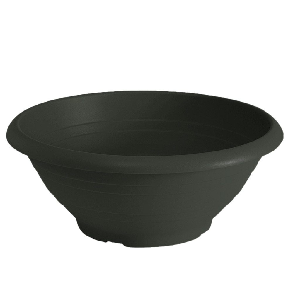 Curaflora Pflanz- und Bewässerungsset