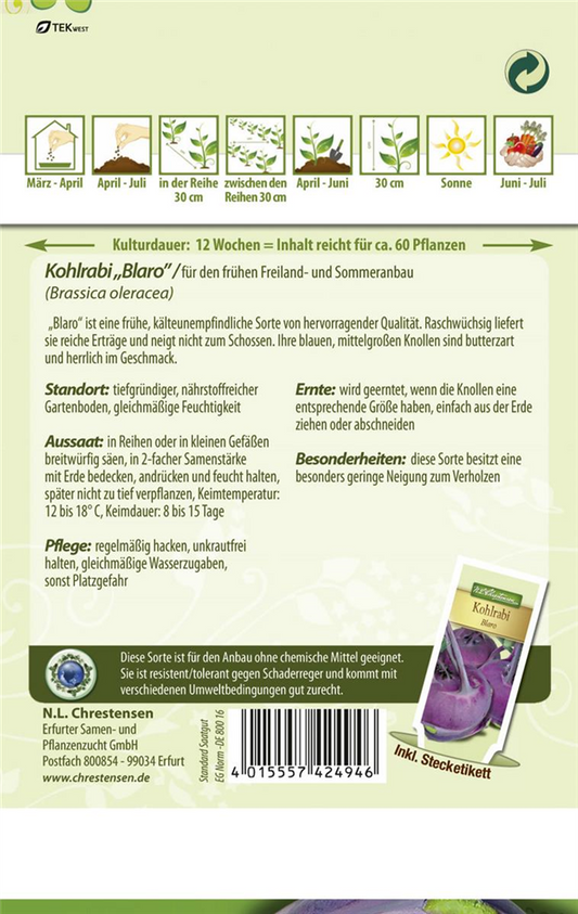 Kohlrabisamen 'Blaro'