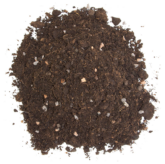 Floragard Zitrus- und Mediterranpflanzenerde