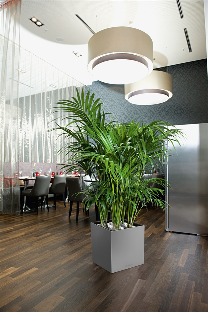 LECHUZA CUBE Premium 30