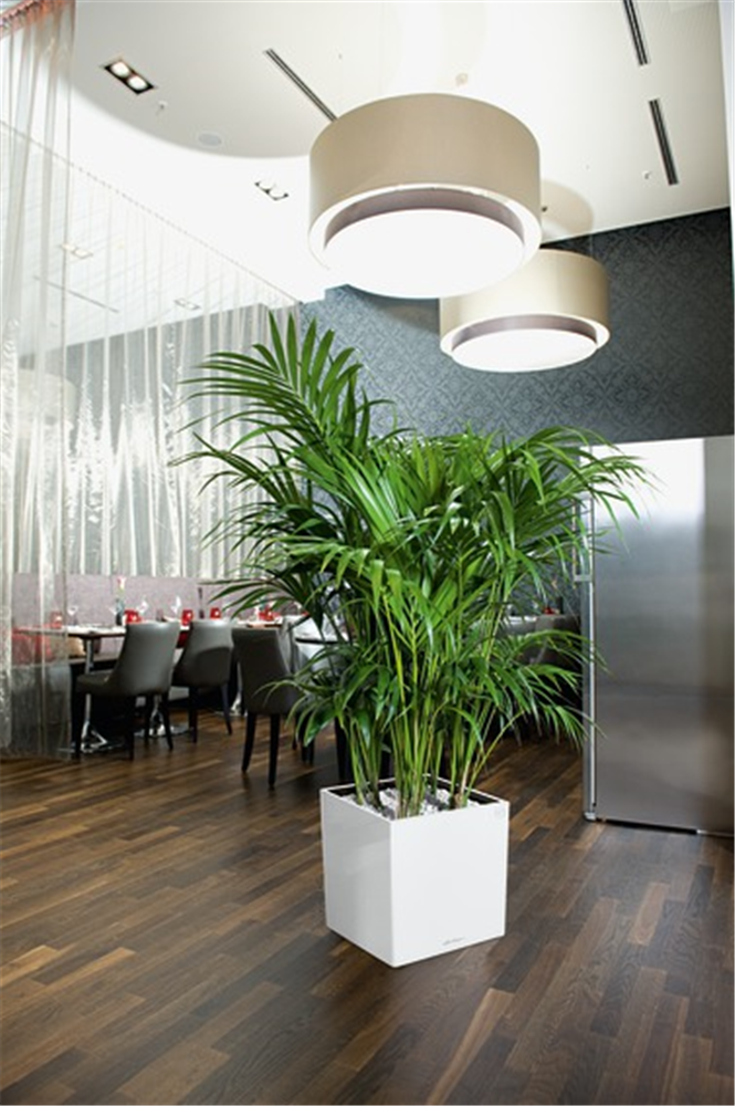 LECHUZA CUBE Premium 30