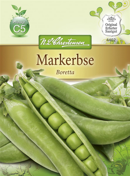 Erbsensamen 'Boretta'