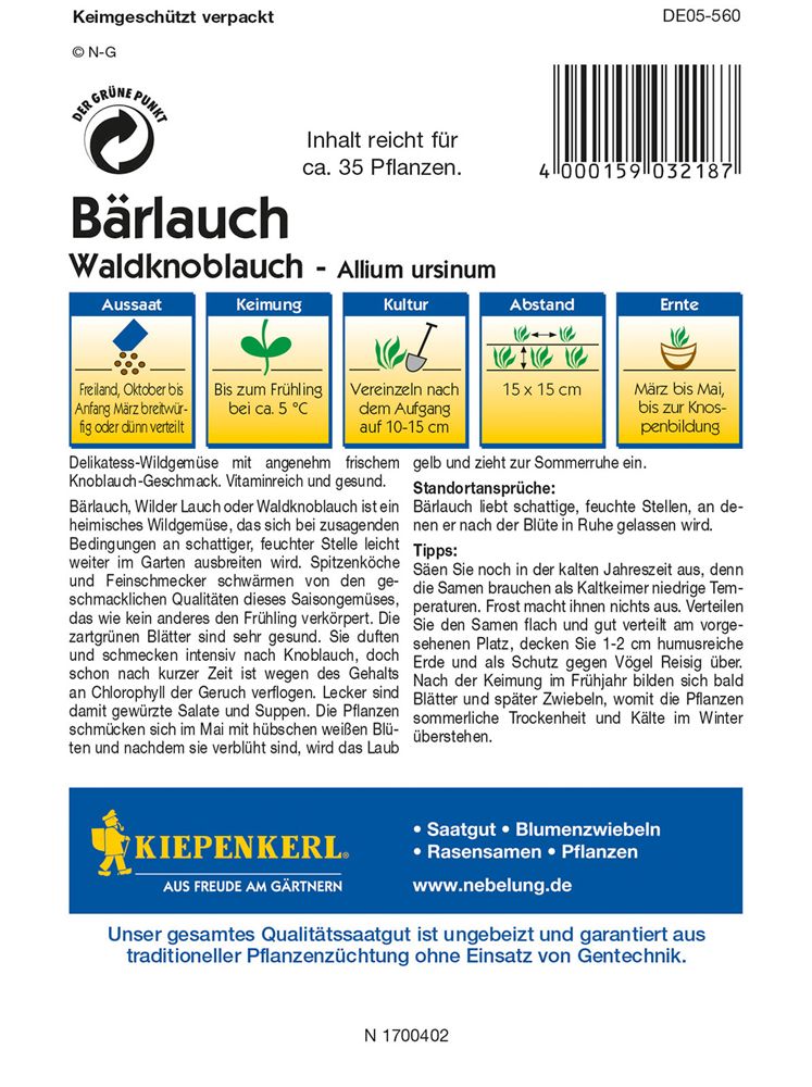Bärlauch