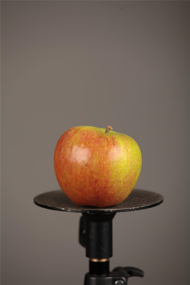 Apfel 'Cox Orangenrenette'