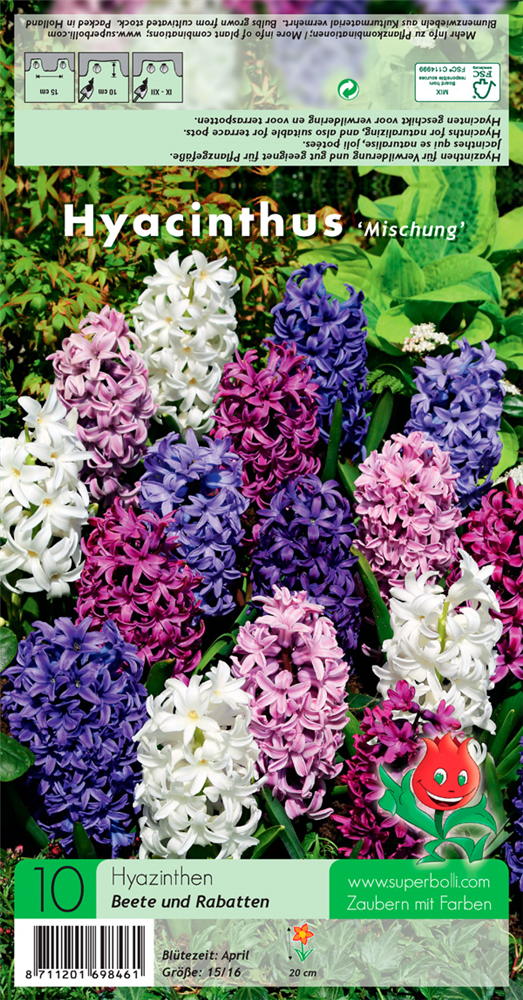 Hyazinthe 'Weiß-Blau-Purpur-Mischung'