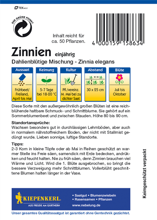Dahlienblütige Zinnie