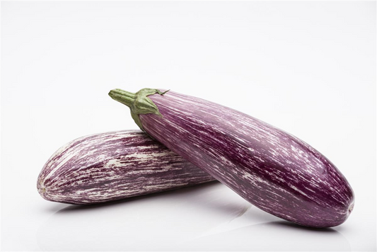 Aubergine 'Lucilla'