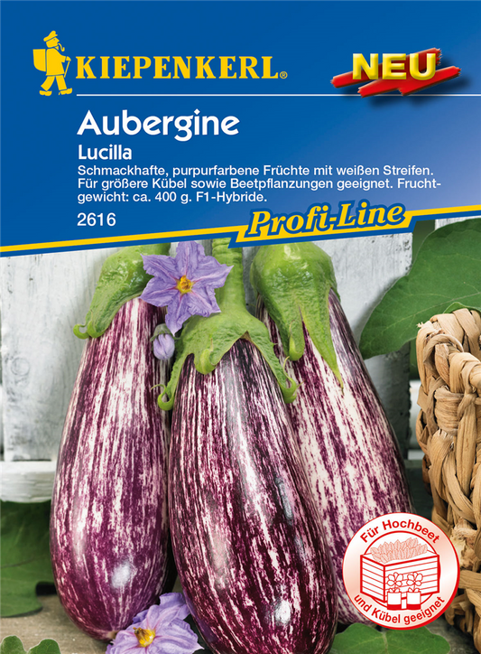 Aubergine 'Lucilla'