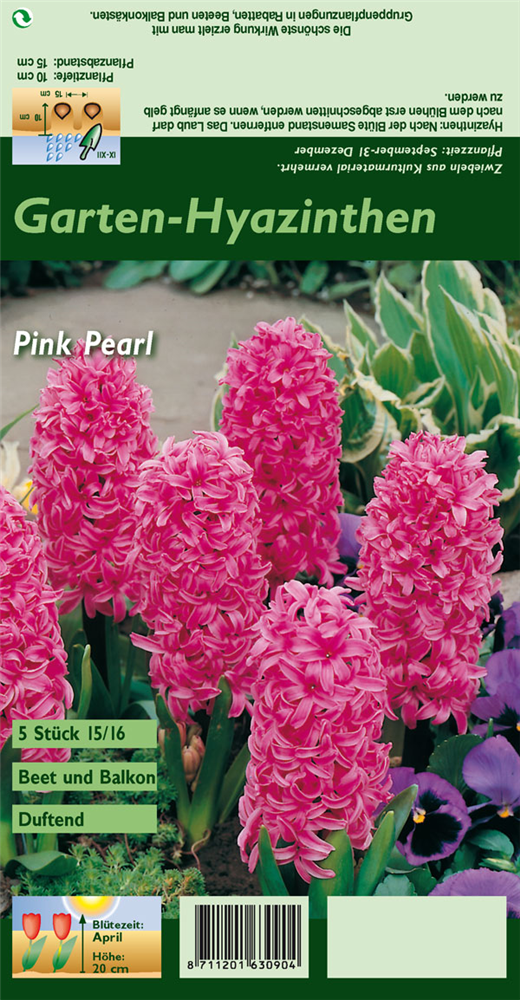 Hyazinthe 'Pink Pearl'