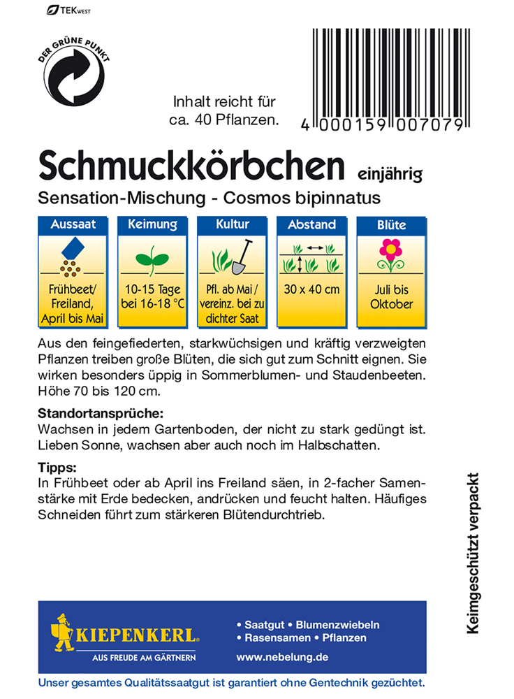 Fiederblättriges Schmuckkörbchen