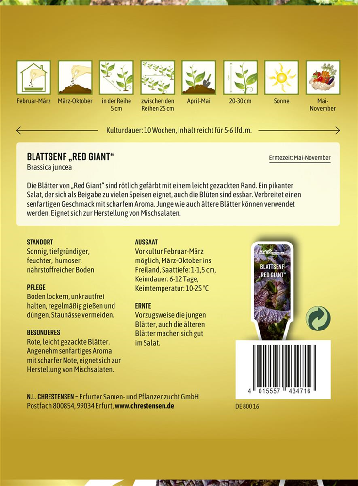 Roter Blattsenf-Samen