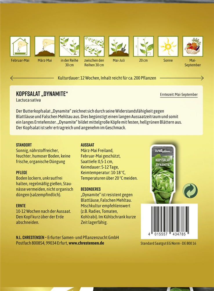 Kopfsalatsamen 'Dynamite'